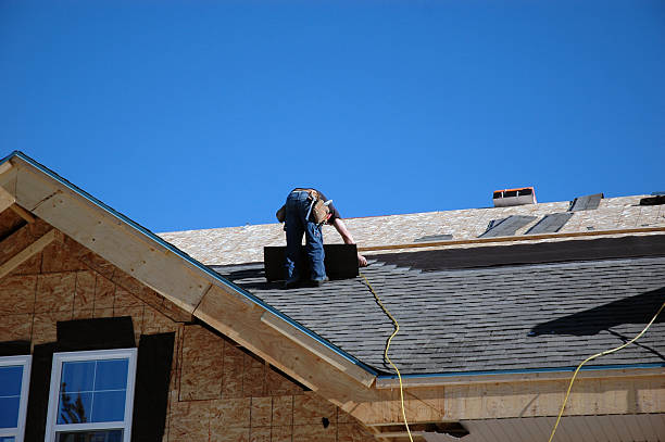 Best Roof Gutter Cleaning  in Twin Lakes, VA